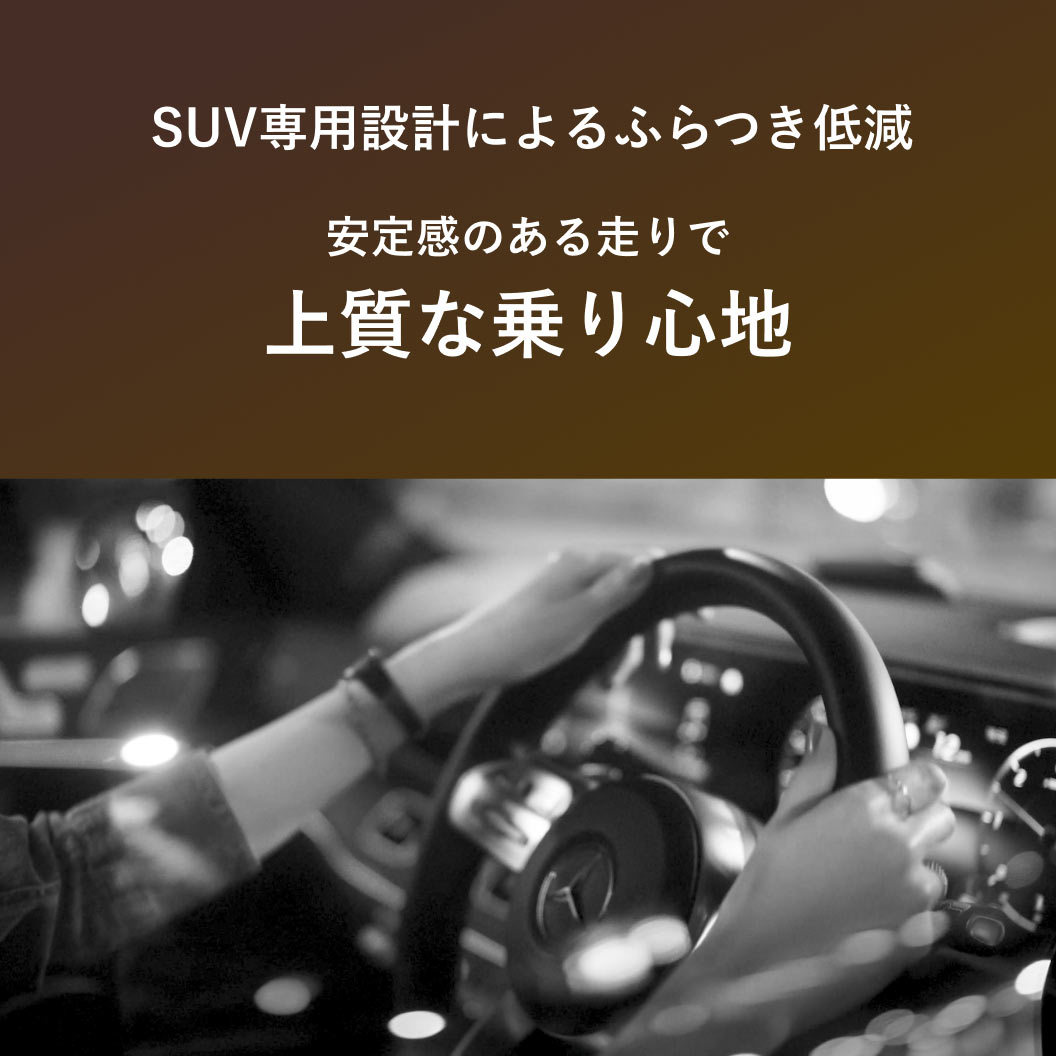 ALENZA_LX100_商品詳細画像