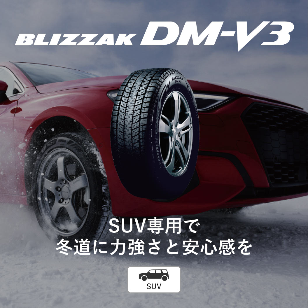 BLIZZAK_DMV3_商品詳細画像