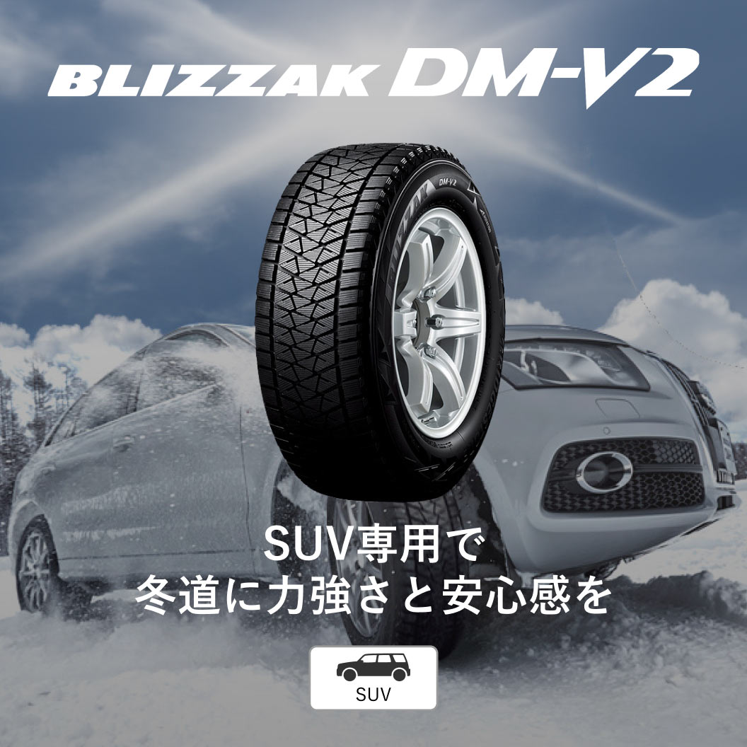 BLIZZAK_DMV2_商品詳細画像