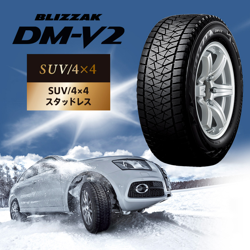 BLIZZAK DM-V2 275/45R20 110Q XL｜ブリヂストン タイヤオンラインストア