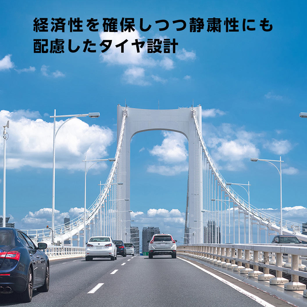SEIBERLING SL201 245/40R20 95W｜ブリヂストン タイヤオンラインストア