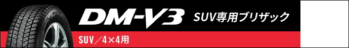 DM-V3 SUV専用ブリザック SUV/4×4用