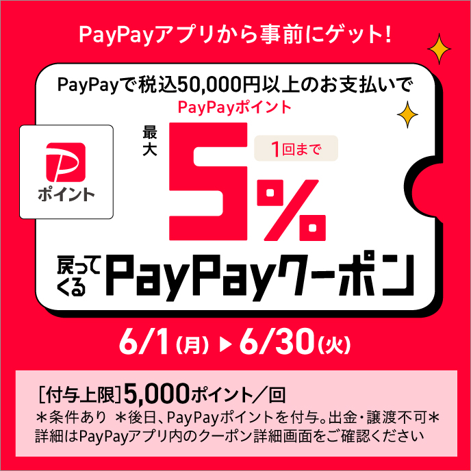 ブリヂストンタイヤオンラインストアでPayPayを使うと最大5％分ポイント還元！