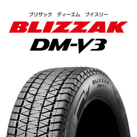 BLIZZAK DM-V3の写真
