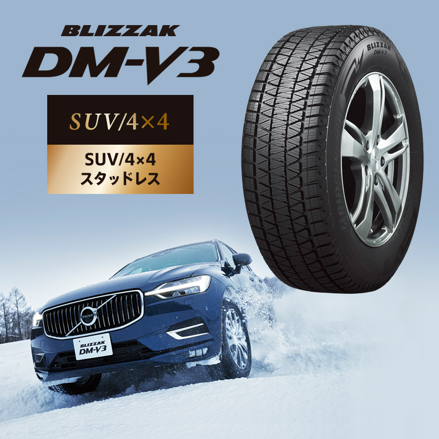 BLIZZAK DM-V3の写真