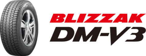 BLIZZAK DM-V3