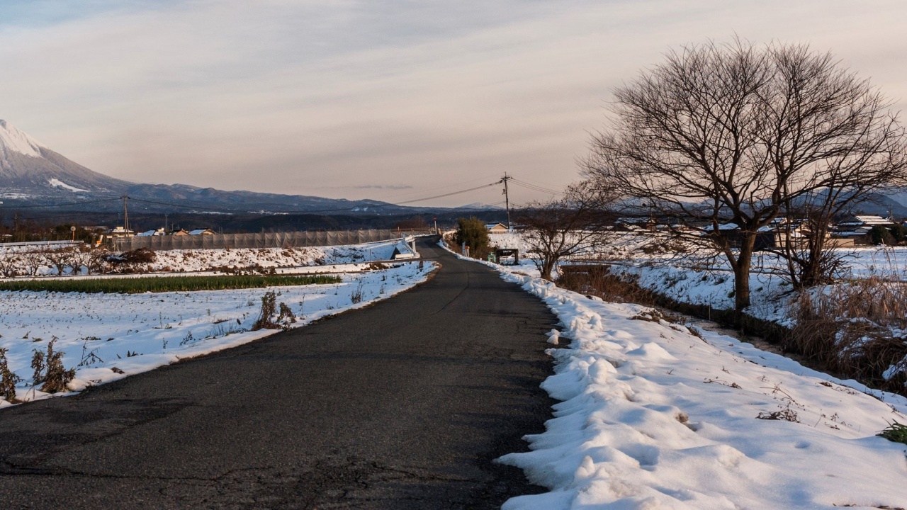 雪道の写真