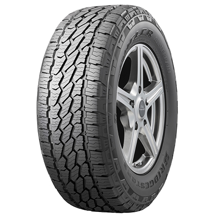 ALENZA LX100の画像